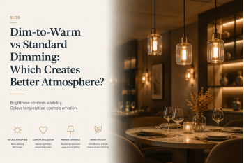 Dim-to-Warm vs Standard Dimming: Which Creates Better Atmosphere?